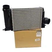 Intercooler Renault Megane 144614EA1B