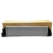 Radiator intercooler Renault Master 144960015r