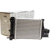 Intercooler Renault Megane 144961381R