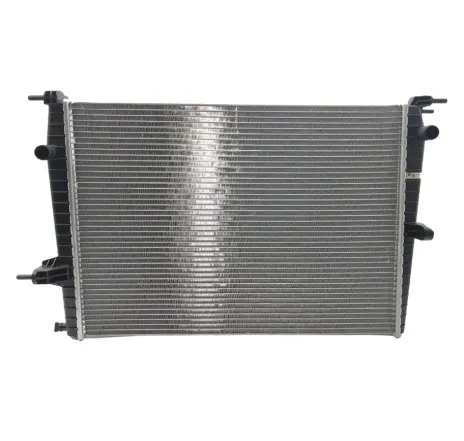 Radiator racire motor Renault 214100067r