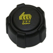 Capac vas expansiune ( vas lichid racire ) 8200048024 Renault