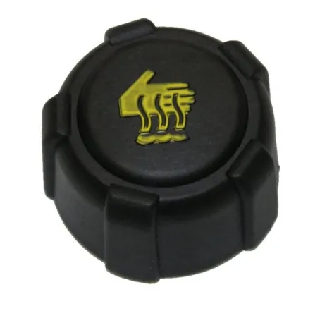 Capac vas expansiune ( vas lichid racire ) 8200048024 Renault