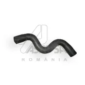 Conducta intrare radiator Dacia Logan/ Sandero Mpi