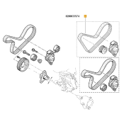 Curea transmisie cu caneluri Renault 8200833574