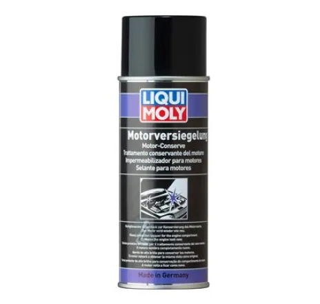 Solutie protectie exterior motor 400 ml